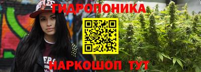 шишки Ачхой-Мартан