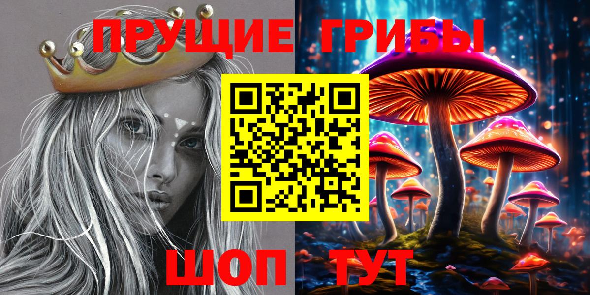 Галлюциногенные грибы Psilocybine cubensis  Вход с VPN  как найти наркотики  Галлюциногенные грибы мухоморы  Обнинск 