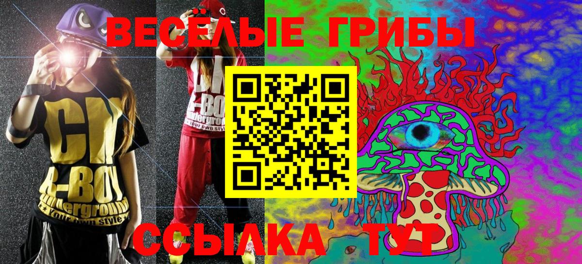 Псилоцибиновые грибы Cubensis Обнинск